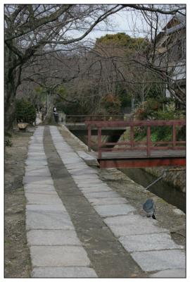 Kyoto Path of Philosophy