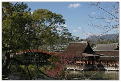 maja jima shinto temple