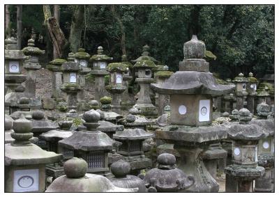 Nara Kasuga Taisha lamps