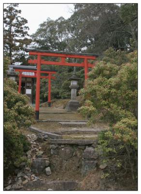 Nara Kasuga Taisha tori gates