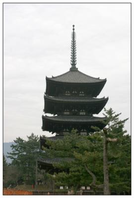 Nara Kofuku-ji pergoda