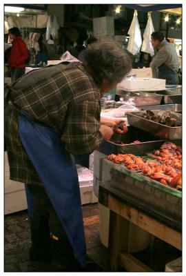 Tokyo Fish market