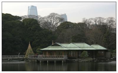 u7/nekyrees/medium/41112070.TokyoHamaRikyugardenteahouseweb.jpg
