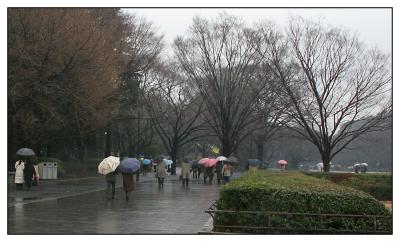 Tokyo rain