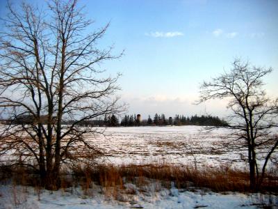 Scenery from the train on my way home from work