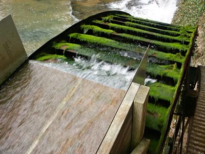 u7/number10_11/medium/41098171.PICT2950_DownwardView_WaterWheel.jpg