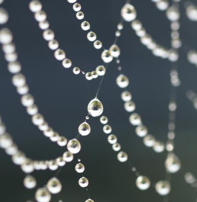 Web of Pearls by Jerry Hughes