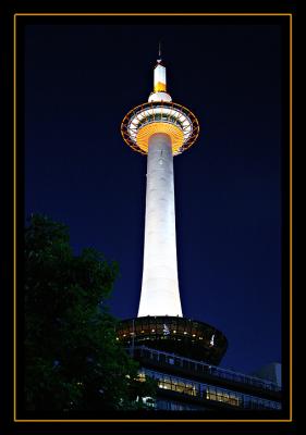 65DT6990.jpg