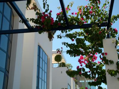 View Up To Pool Area From Apartment Balcony