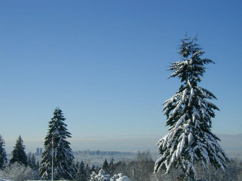 P1010074.jpg