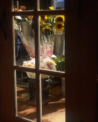 Flower Shop Window