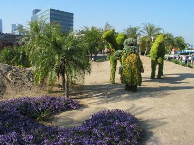 Resize of Mosaiculture0070.JPG