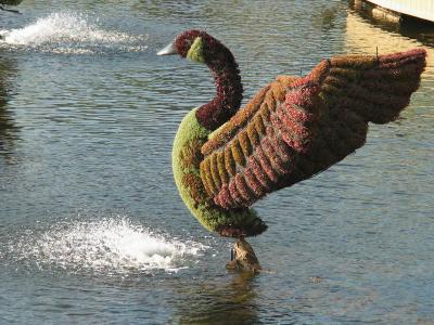 Resize of Mosaiculture0083.JPG