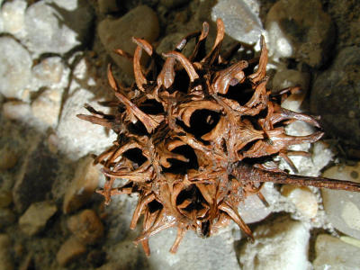 DSCN1587.jpg
