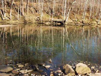 Trout stream winter reflection