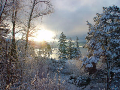 Winter View of Lake WhatcomPicture of the DayShutterbugs.biz