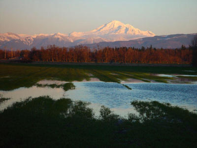 Western Washington