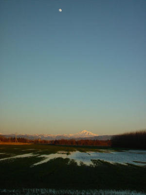 u7/ptkitty/medium/1245310.MtBakerfromnearHaxtonR.jpg