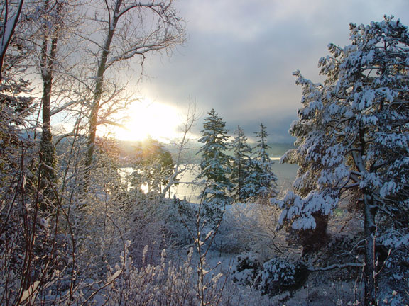 Winter View of Lake Whatcom<BR>Picture of the Day<BR>Shutterbugs.biz