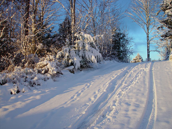 Snow on the road