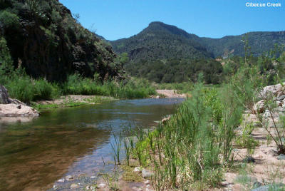 Cibecue Creek in the Salt River Canyon