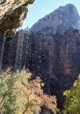 Weeping Rock in the Fall (Zion)