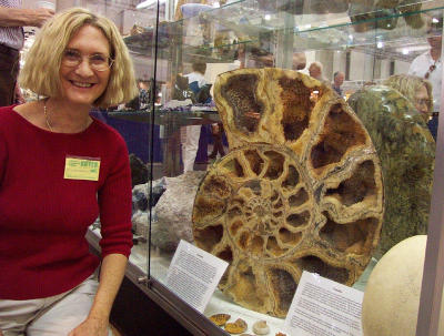 Big Ammonite