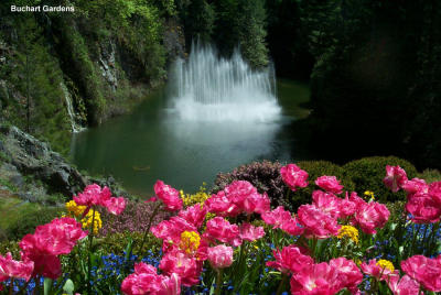 Fountain & Flowers at Buchart Gardens