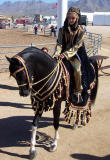 Scottsdale 47th Annual Arabian Horse Show
