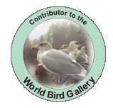 World Bird Gallery