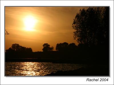 sunset at a park-1