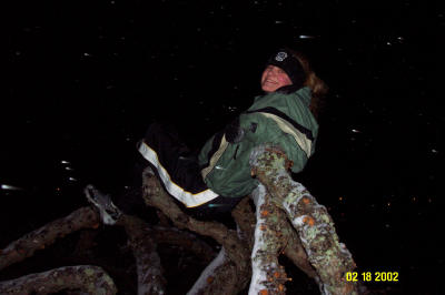 Lindsay in Tree 2