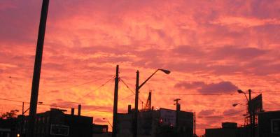 IMG_8497.jpg