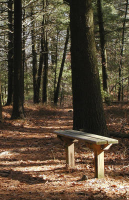 Bench
