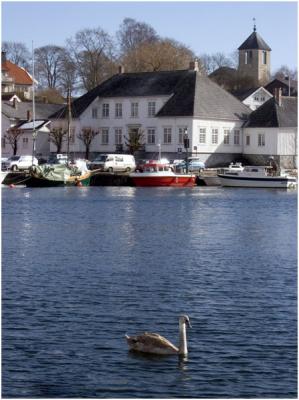 Brevik Harbour and Swan