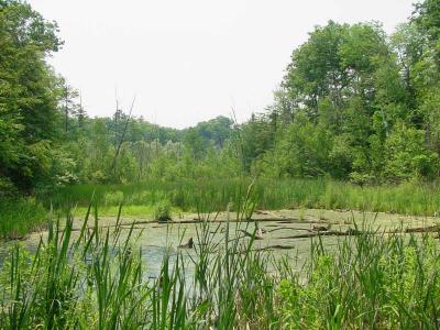 Greenwood Conservation Area, Ajax and Pickering, Ontario, Canada