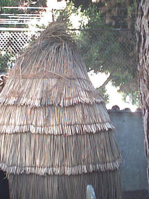 an old ohlone indian hut