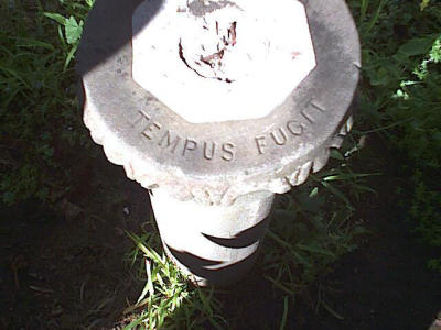 tempus fugit engraved on stone pedestal