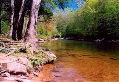 Snake Hole Spr View Cran River 4A tb5-04.jpg