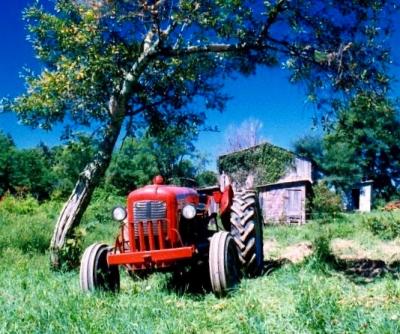 Farm Tractor by Apple Tree - Old Barn.jpg
