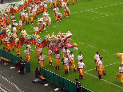 u7/rl/medium/41208161.4.AmazingDragon.jpg