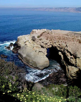 La Jolla Cove Cave