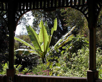 Another Gazebo View