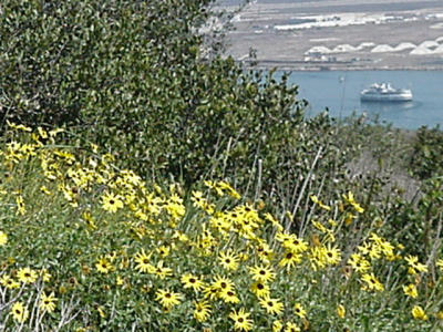Coronado North Island Naval Air Station seen from Point Loma