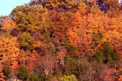 Yep, the zoom works.  Fall foliage 2