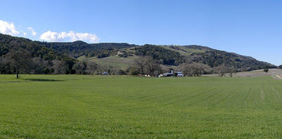 Green pastures panorama