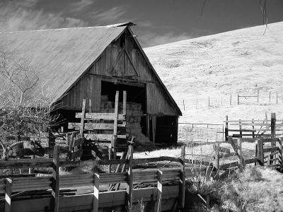 Barn and bridge (infrared)