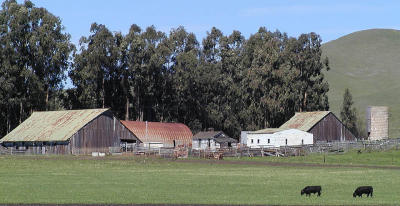 Barn collection