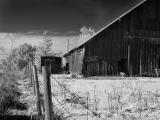 Barn and shed (infrared)