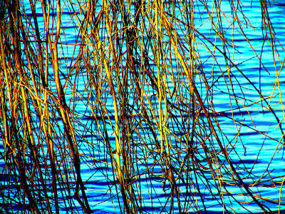 Abstract Water